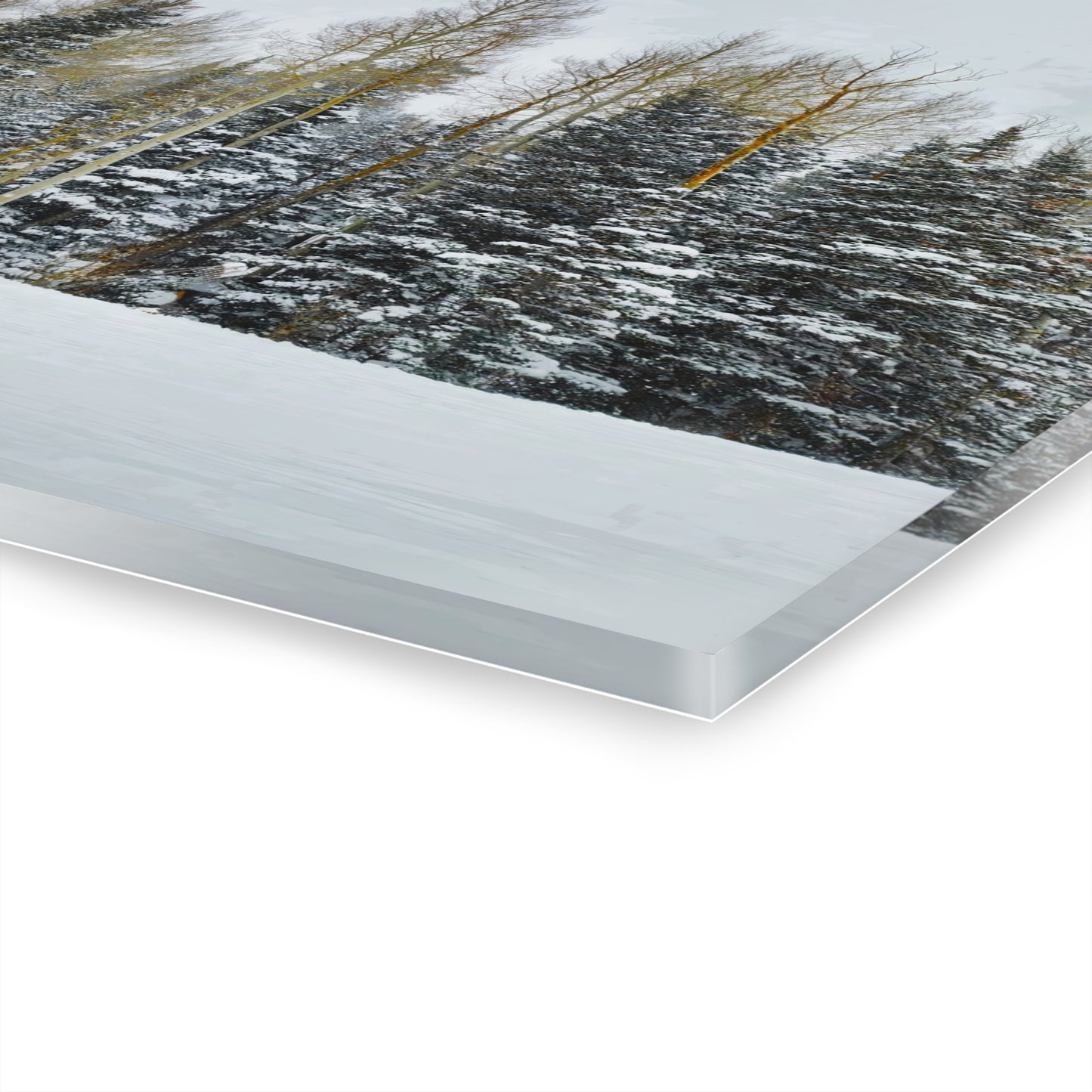 Acrylic Wall Art - Forest Winterscape