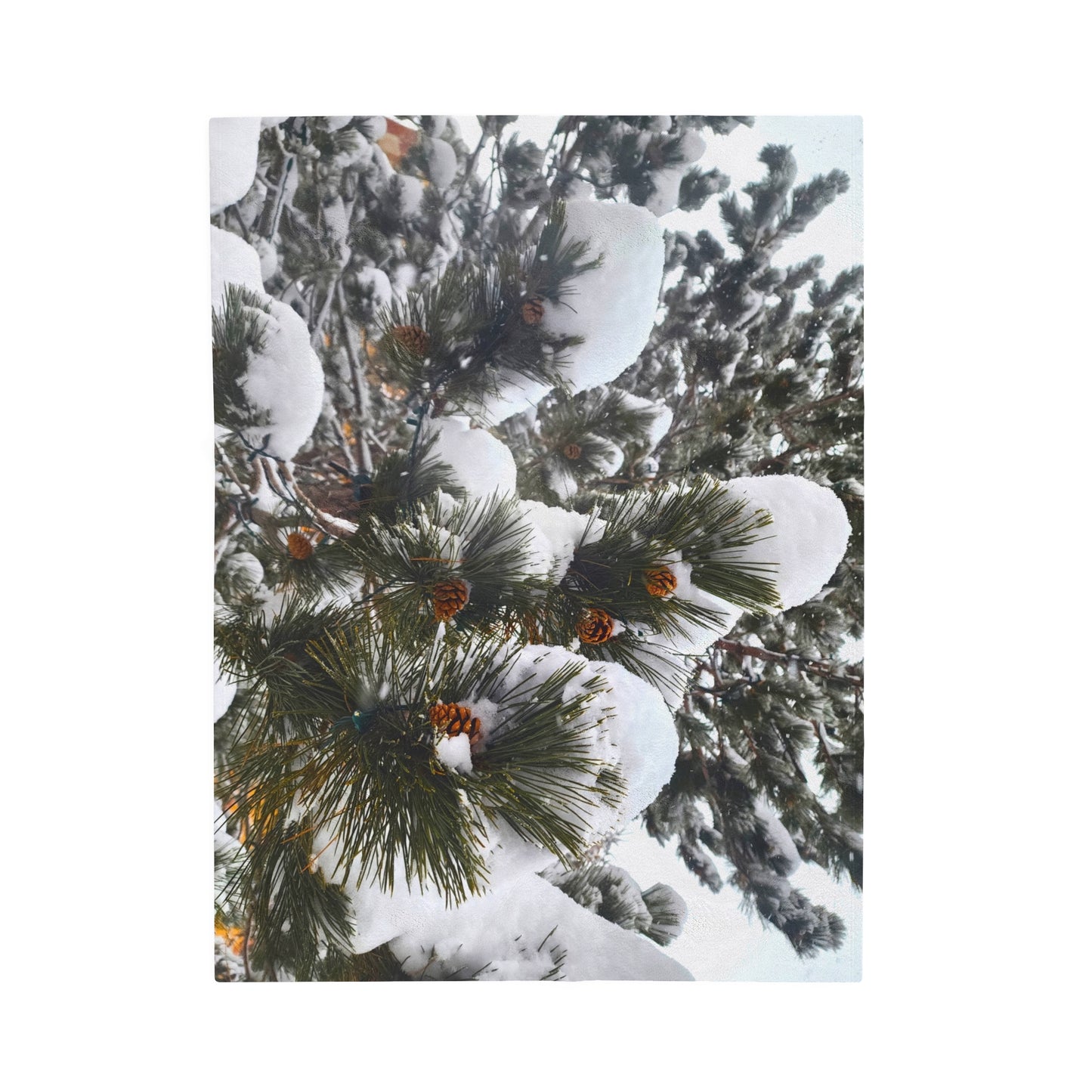 Blanket Velveteen Plush - Pine cones with snow