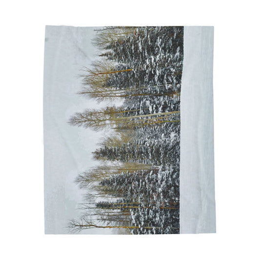 Blanket  - Forest Winterscape