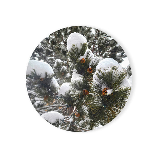 Coaster - Pine cones with snow