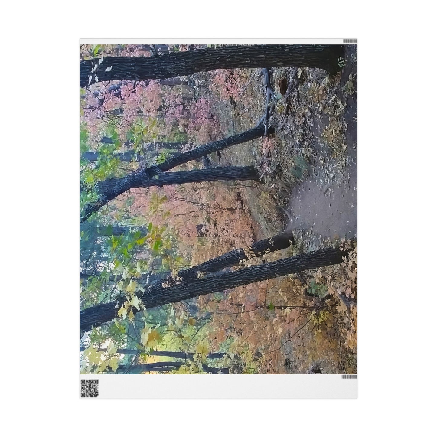 Wrapping Paper - Hiking Trail  (Sedona)