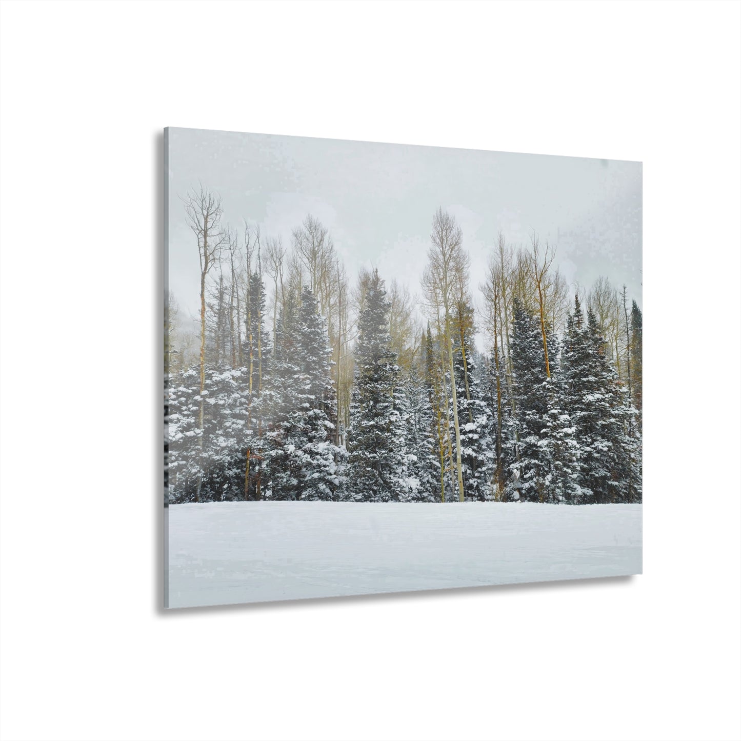 Acrylic Wall Art - Forest Winterscape