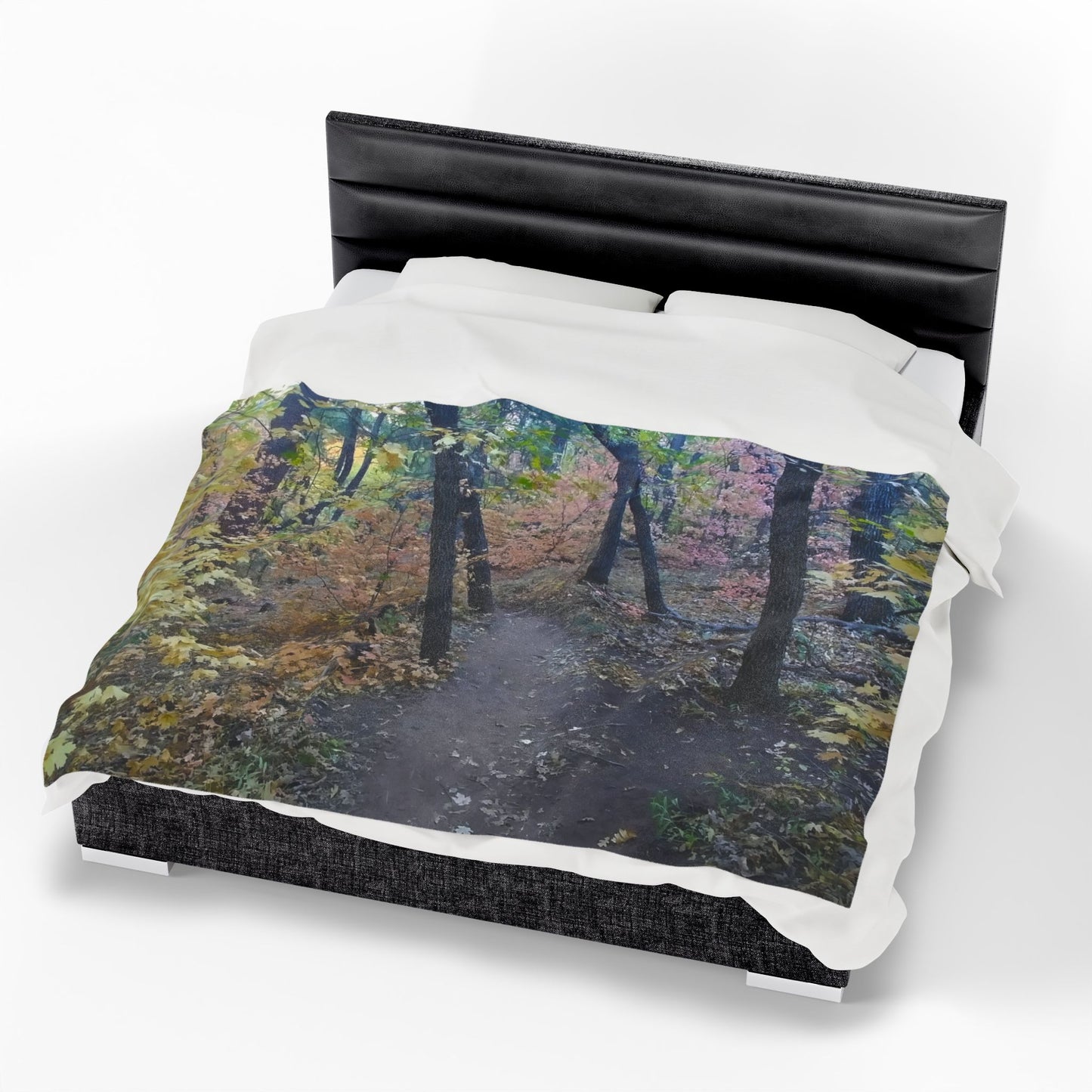 Blanket  - Hiking Trail in Sedona