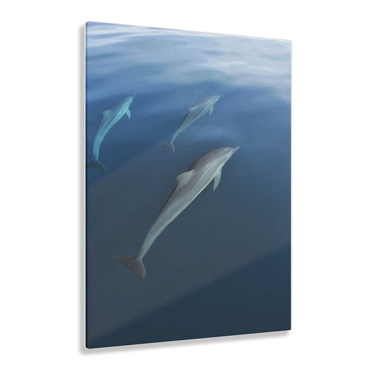 Acrylic Art - Dolphins in Fiji  (11"x14")