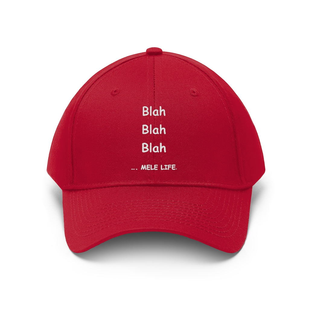 Baseball Cap - blah blah blah
