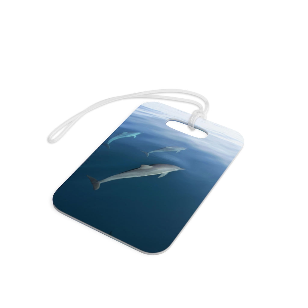 Luggage Tag - Mullet Bay/Dolphins