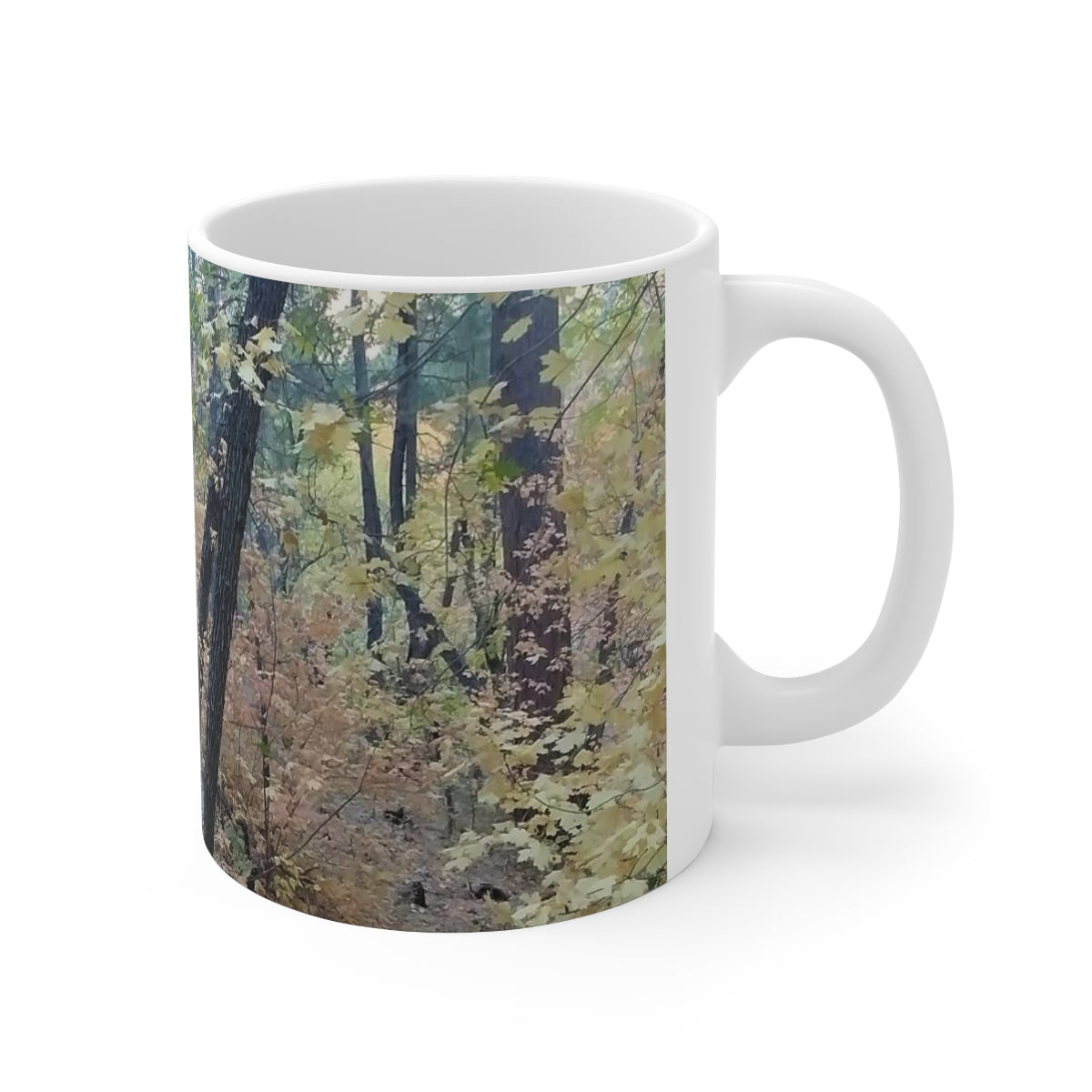 Coffee Mug - Boynton Canyon Trail, Sedona